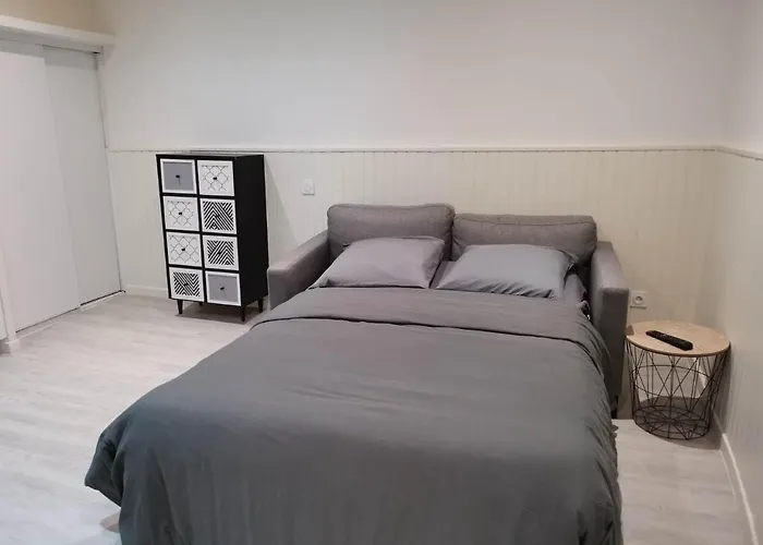 Διαμέρισμα Saint Etienne Studio Lot 1