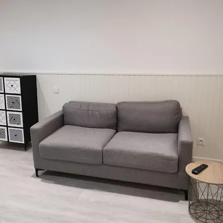 Saint Etienne Studio Lot 1 Daire