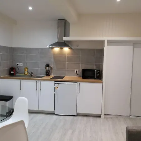 Appartement Saint Etienne Studio Lot 1