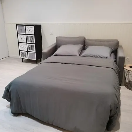 公寓 Saint Etienne Studio Lot 1